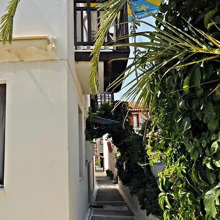 Apartment Dimitris Studios